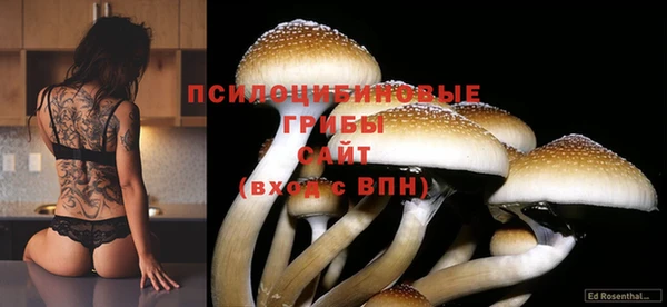 марки nbome Вязники